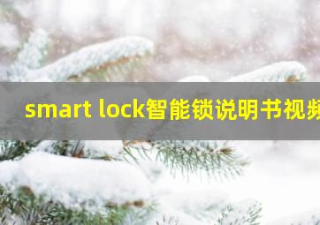 smart lock智能锁说明书视频